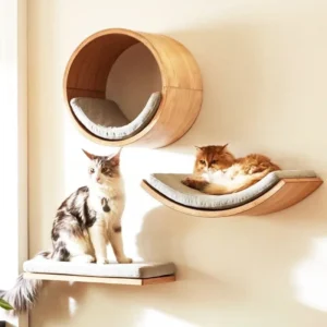 Wall Mounted Wooden Cat Climbing Shelves