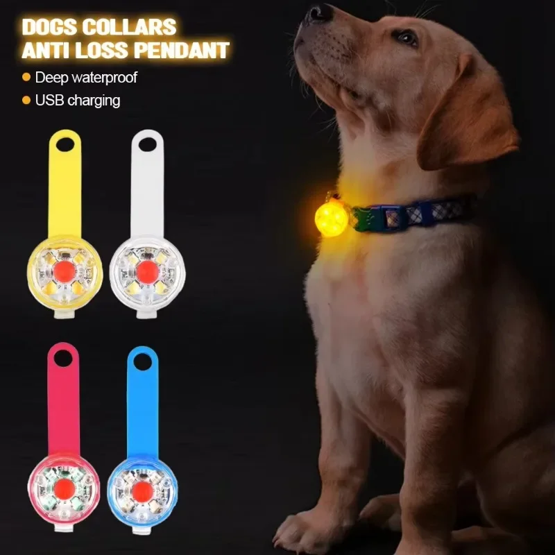 USB Rechargeable LED Dog Collar