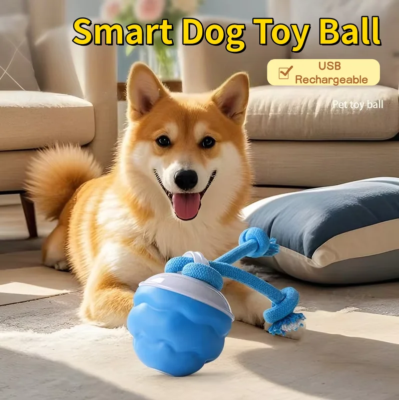 Interactive Smart Dog Ball