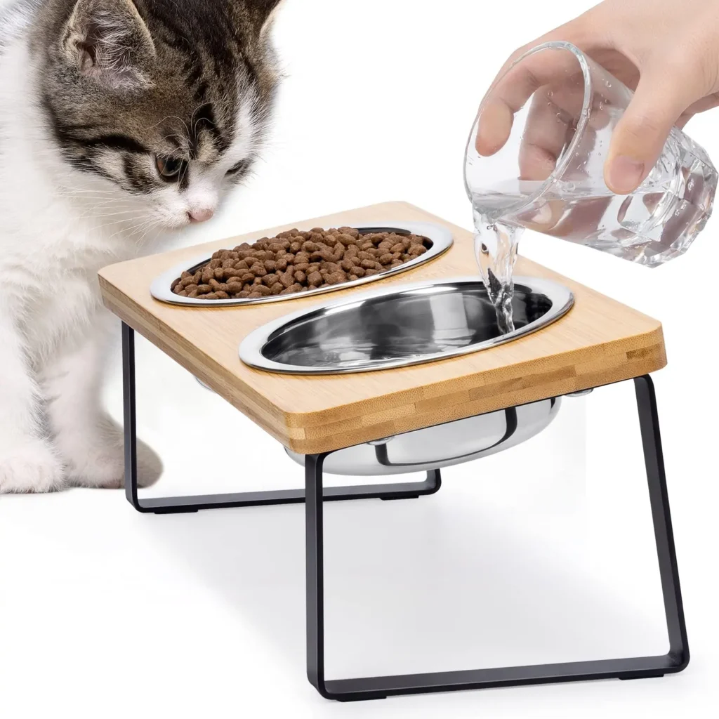 15 Degree Tilted Raised Cat Bowls