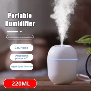 Mini USB Humidifier with LED Night Light